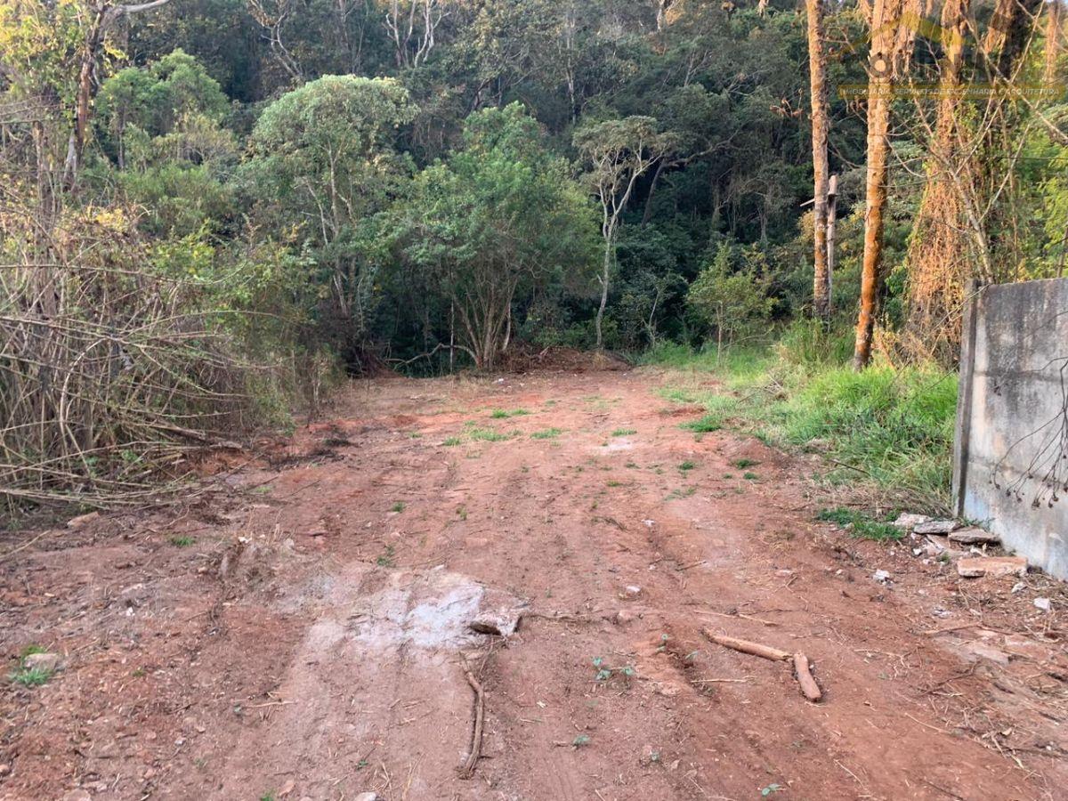 WhatsApp Image 2024-10-24 at 15.39.37.jpeg